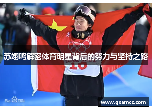 苏翊鸣解密体育明星背后的努力与坚持之路