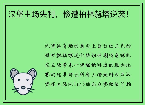 汉堡主场失利，惨遭柏林赫塔逆袭！